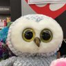 Rufus le hibou 的头像