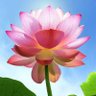 Фото профиля Prashant