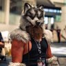 Wolfie ๐MegaPlex๐Anthro SoCal๐BLFC๐PawCon profil fotoฤrafฤฑ
