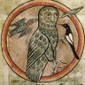 Фото профиля Owl Girl