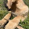 Mine profil fotoğrafı