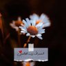 Reem profil fotoğrafı