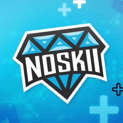 noskii.'s profile picture