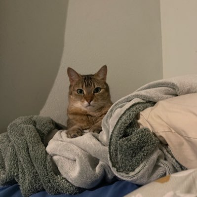 JodiePP1948's profile picture