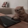 Sarah's profile picture