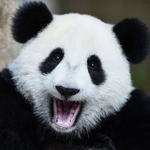 Poom Dechathorn's profile picture