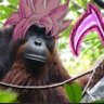 Orangután comechochos del desierto profil fotoğrafı