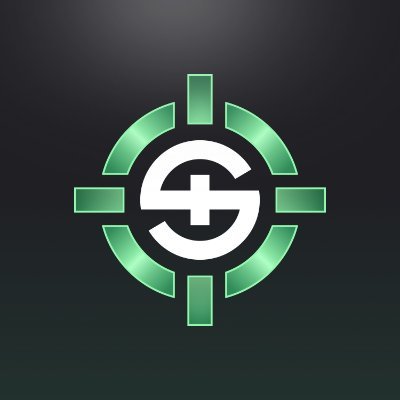 SkinRave.gg's profile picture