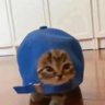 Profilbild von gataw