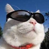 Naiba33001's profile picture