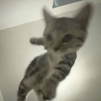 so_geum_00's profile picture