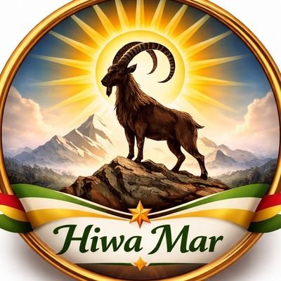 Hiwa's profile picture
