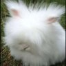 May sound's profile picture