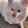 RAON's profile picture
