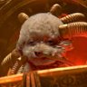 WarmasterWoofus profil fotoğrafı