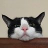 uni profil fotoğrafı