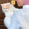 Haneen Abdulkareem's profile picture