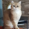 arada ruhunuza fatiha okuyun profil fotoğrafı