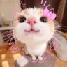 Rynee profil fotoğrafı