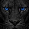 Abundance A.A.'s profile picture
