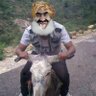 डॉ• हकीम शेख (बकरी लवर)'s profile picture