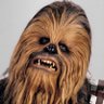 HALFHARDWOOKIE's profile picture