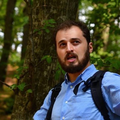 Alexander Kavtaradze's profile picture