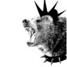 Profilbild von HeloluX