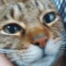 franlucia13's profile picture