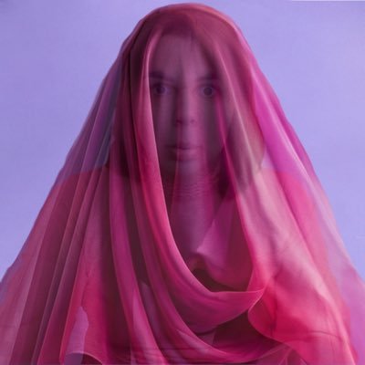 𝘉𝘰𝘵 𝘥𝘢 Wanessa Wolf🤖🐺's profile picture