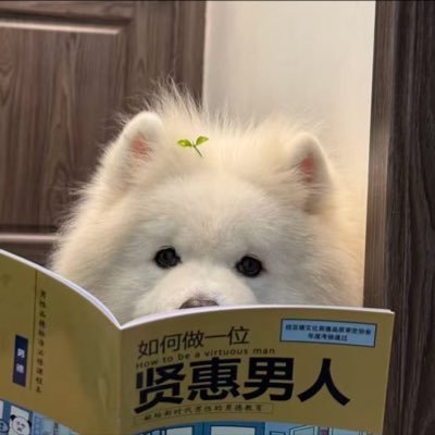 globefishii's profile picture