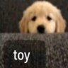 Фото профиля TOY