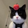 Ula's profile picture