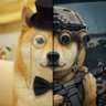 Profilbild von Sir Shib