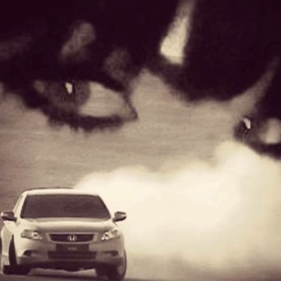 غاليةة الأثمان's profile picture