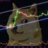🅱️ SADECE #DOGE profil fotoğrafı