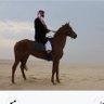 Aweel Aldaraji's profile picture