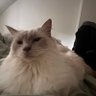 jxrdyg's profile picture