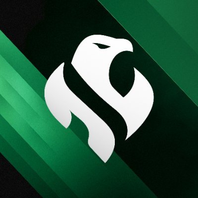 Riyadh Falcons's profile picture