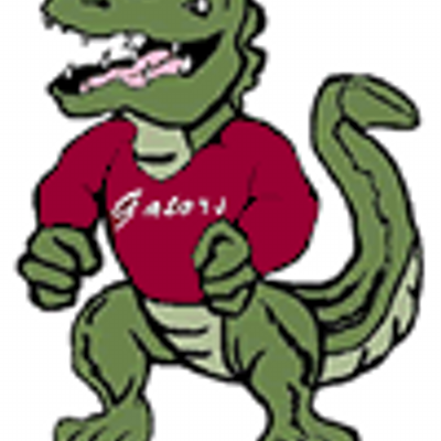 LNS Athletics's profile picture
