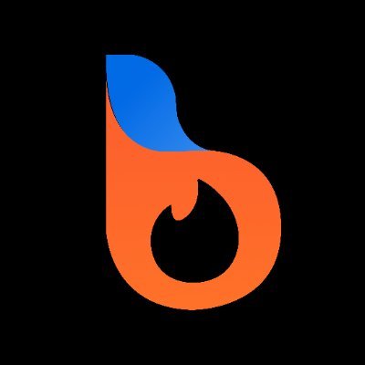 blazpaylabs's profile picture