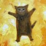 Profilbild von 荒熊ラスカル