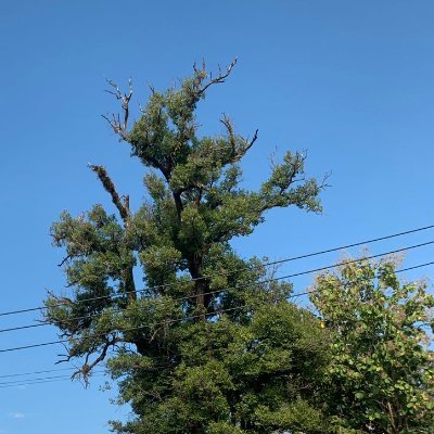 ມັກສີ້'s profile picture