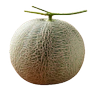 melon 的头像