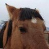 Profilbild von lay