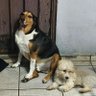 Ceaz24 profil fotoğrafı