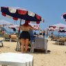 Shadow Naturist's profile picture