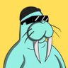 hugocesar7 π² 🌶️VOICE's profile picture