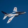 蒼の衝動's profile picture