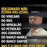 Profilbild von FLAMENGO RAIZ BABACUDOS E MULHER BIOLOGICA.